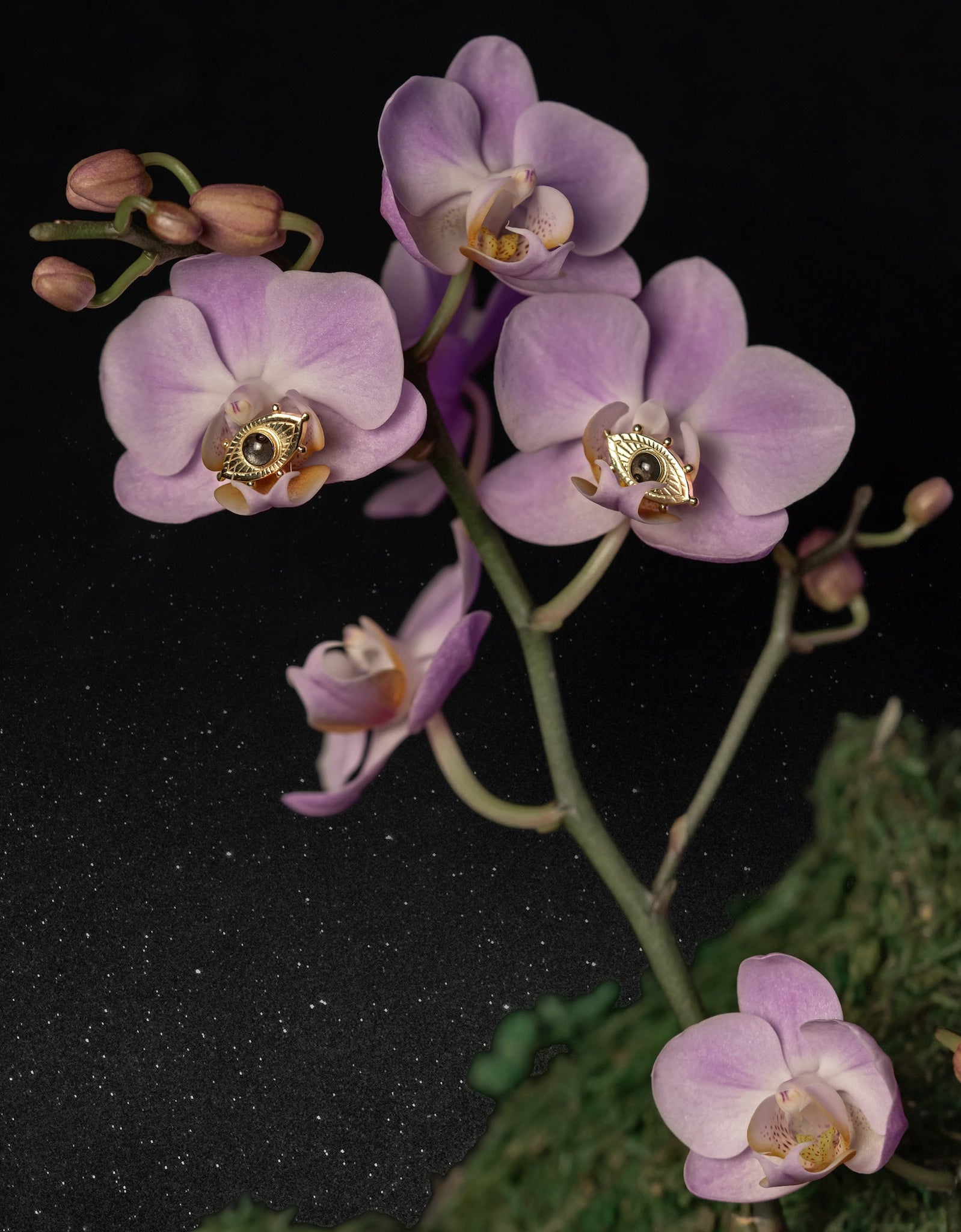 Black resin eye earrings resting on an purple orchid