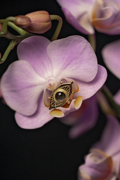 Gold eye earring on an orchid