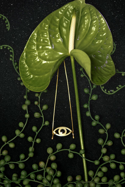 Black resin eye choker on a black background, surrounded by plants